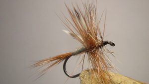 The Adams Dry Fly