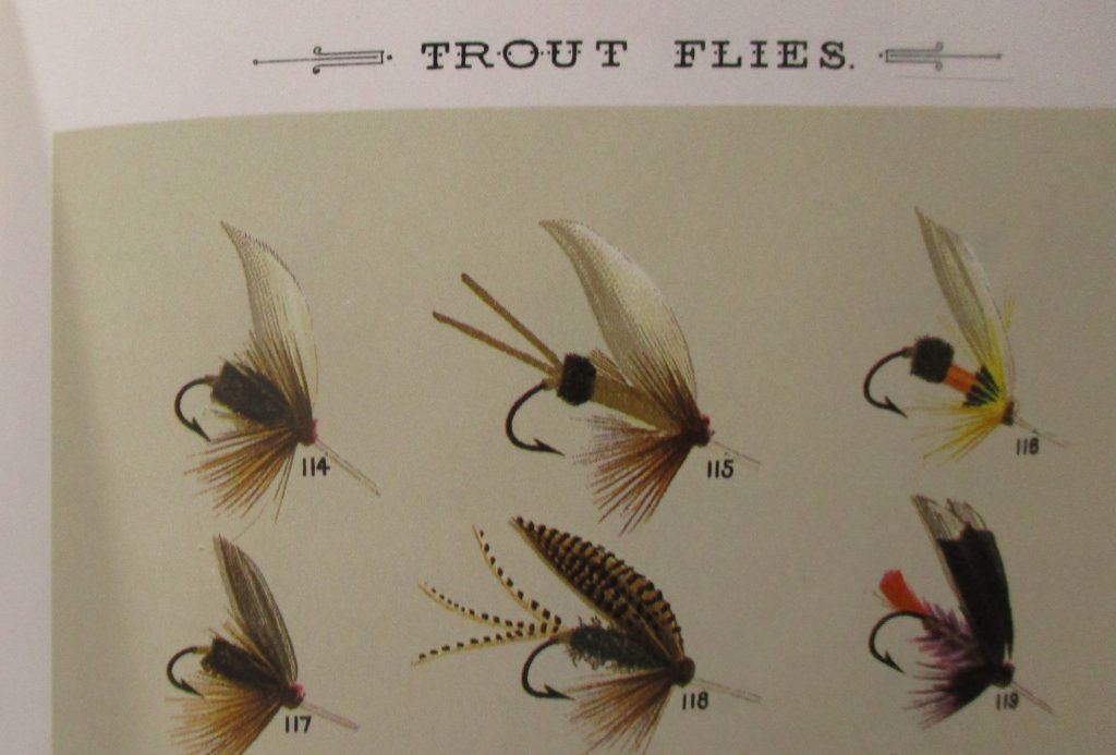 The Coachman - as seen in Mary Orvis Marbury's "Favorite Flies and their Histories."