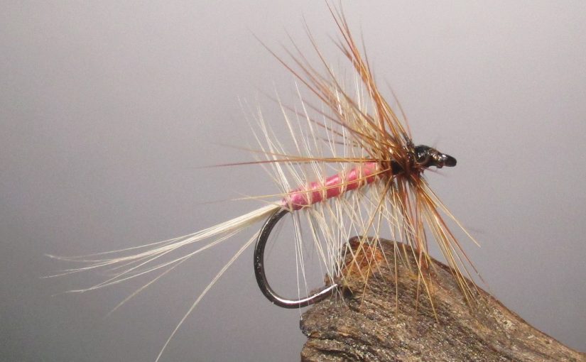 Tying the Pink Lady Bi-visible Dry Fly