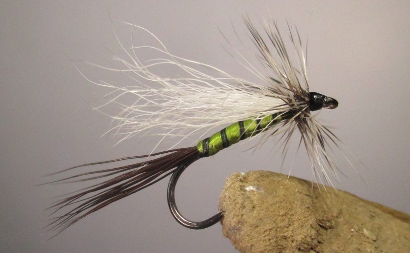 The Lime Trude – a Brook Trout Attractor Pattern