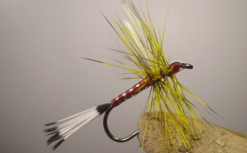 The Tropic Lightning – Attractor Dry Fly