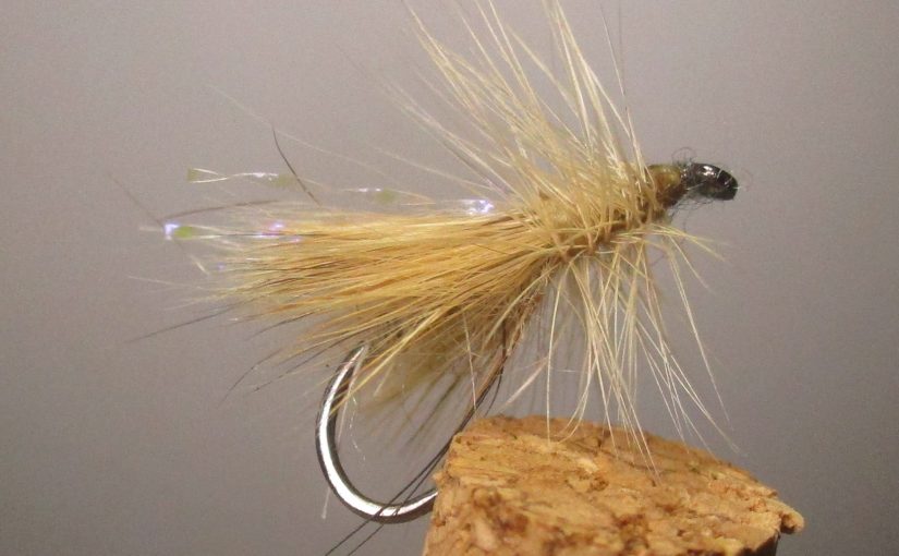 Tying the Coyote Caddis Dry Fly