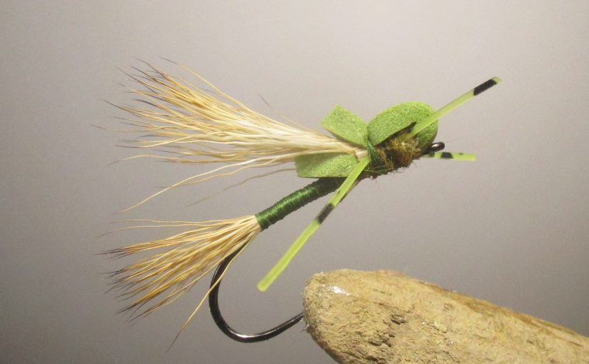 Tying Moon’s Madam X
