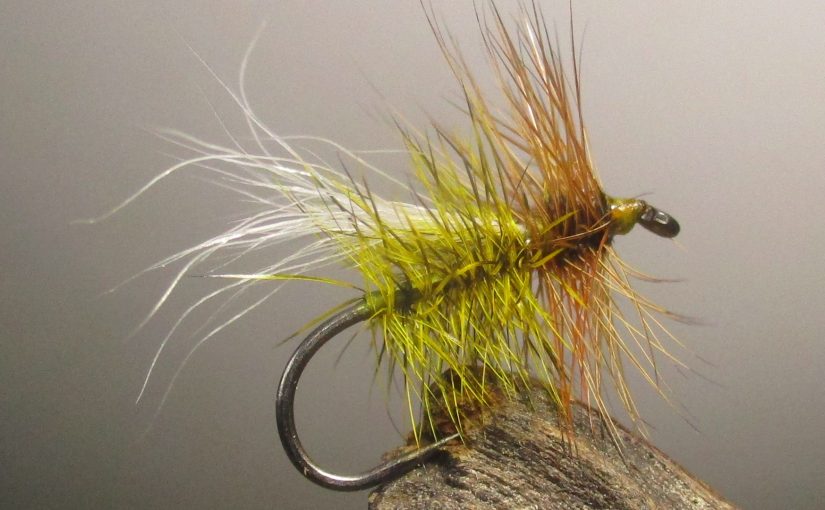 Tying the Taco Tuesday – a special fly pattern to me